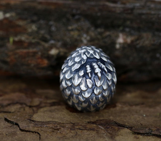 Dragon Egg