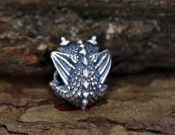 Baby Dragon