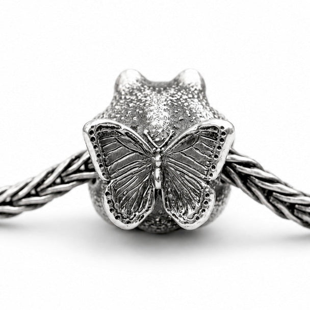 The Butterfly Toad