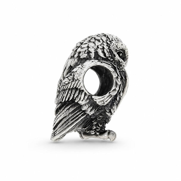 Owl with Letter