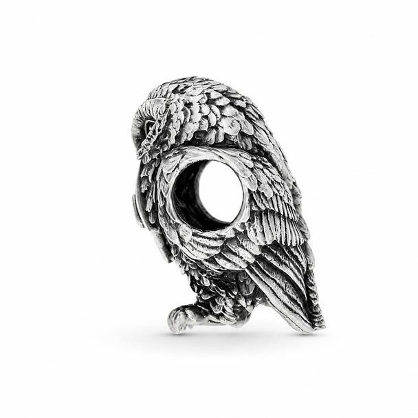 Owl with Letter